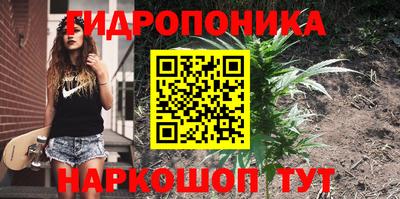 стафф Азнакаево