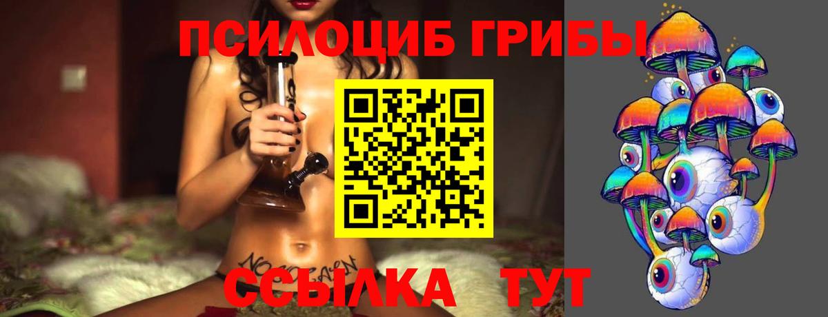 Галлюциногенные грибы Psilocybine cubensis Азнакаево